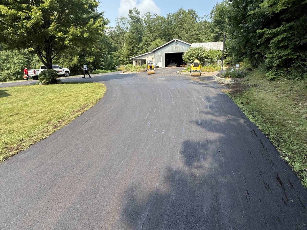 Fresh asphalt lane running between trees.
